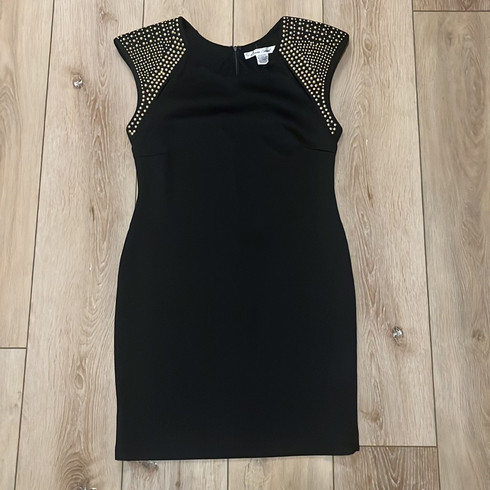 NWOT Size M Sams Souci for Anthropologie Studded Dress